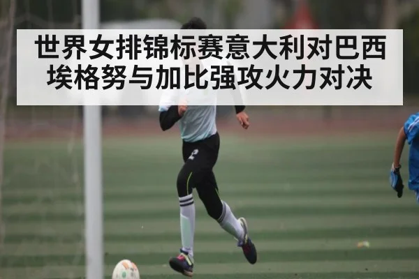 世界女排锦标赛意大利对巴西埃格努与加比强攻火力对决